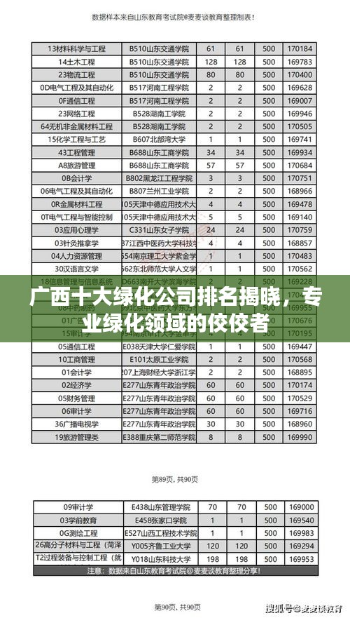 一花獨(dú)放 第2頁