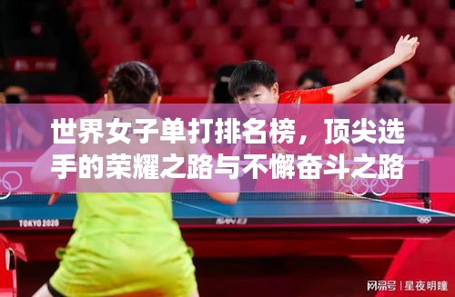 世界女子單打排名榜，頂尖選手的榮耀之路與不懈奮斗之路