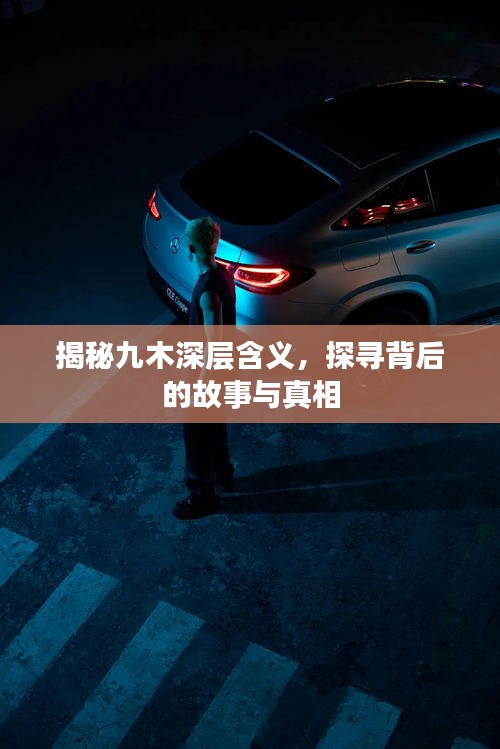 揭秘九木深層含義，探尋背后的故事與真相