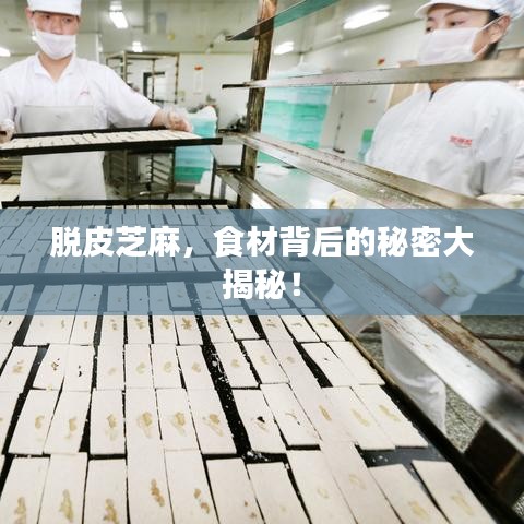 脫皮芝麻，食材背后的秘密大揭秘！