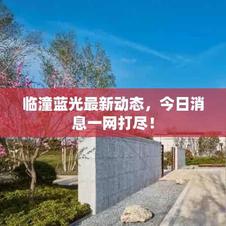 臨潼藍(lán)光最新動(dòng)態(tài)，今日消息一網(wǎng)打盡！