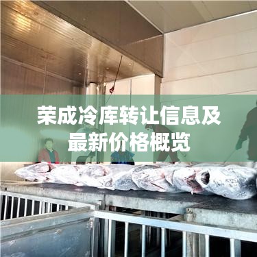 榮成冷庫轉(zhuǎn)讓信息及最新價格概覽