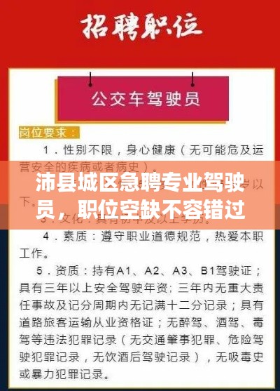 沛縣城區(qū)急聘專業(yè)駕駛員，職位空缺不容錯(cuò)過(guò)！