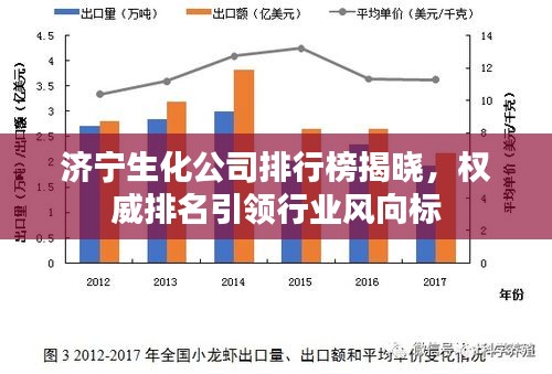 濟(jì)寧生化公司排行榜揭曉，權(quán)威排名引領(lǐng)行業(yè)風(fēng)向標(biāo)