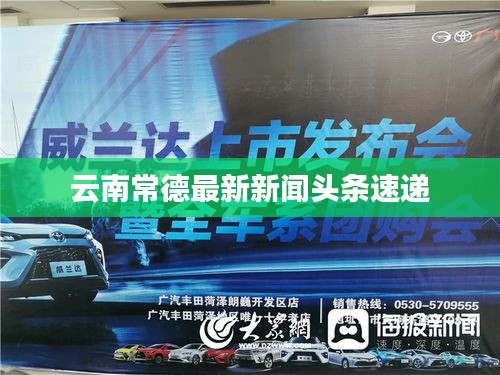 云南常德最新新聞頭條速遞