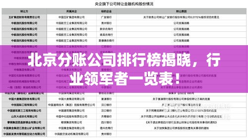 北京分賬公司排行榜揭曉，行業(yè)領(lǐng)軍者一覽表！
