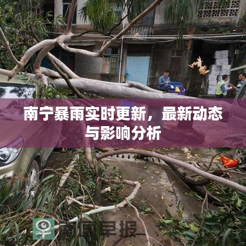 南寧暴雨實時更新，最新動態(tài)與影響分析