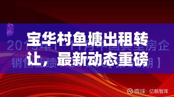 寶華村魚塘出租轉(zhuǎn)讓，最新動(dòng)態(tài)重磅發(fā)布！