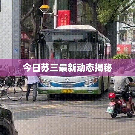 今日蘇三最新動(dòng)態(tài)揭秘