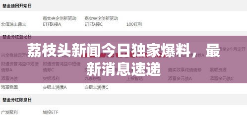 荔枝頭新聞今日獨(dú)家爆料，最新消息速遞