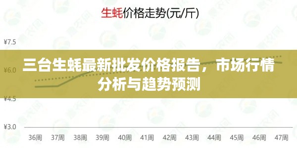 三臺(tái)生蠔最新批發(fā)價(jià)格報(bào)告，市場(chǎng)行情分析與趨勢(shì)預(yù)測(cè)