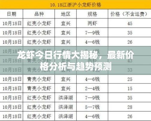 龍蝦今日行情大揭秘，最新價(jià)格分析與趨勢(shì)預(yù)測(cè)
