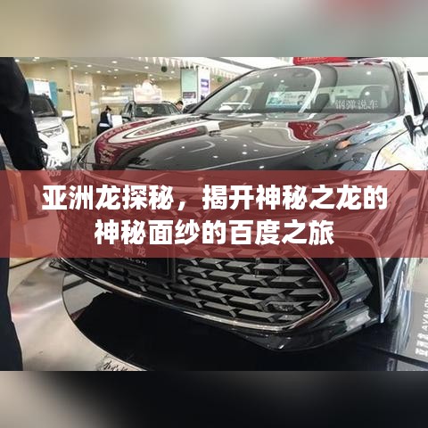 亞洲龍?zhí)矫兀议_神秘之龍的神秘面紗的百度之旅