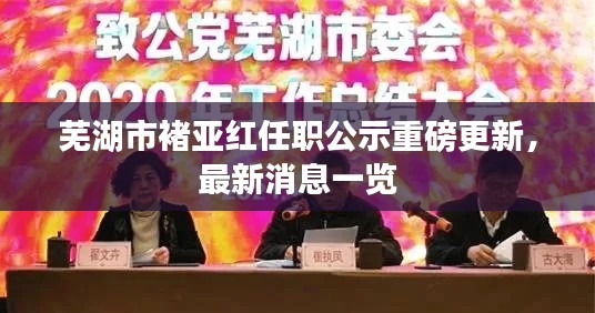 蕪湖市褚亞紅任職公示重磅更新，最新消息一覽