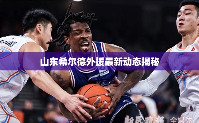山東希爾德外援最新動態(tài)揭秘