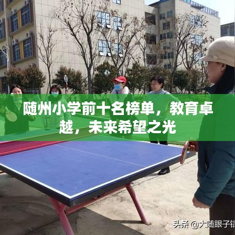 隨州小學(xué)前十名榜單，教育卓越，未來希望之光