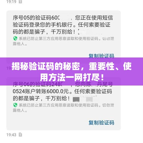 揭秘驗證碼的秘密，重要性、使用方法一網打盡！