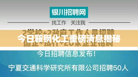 今日鞍鋼化工重磅消息揭秘