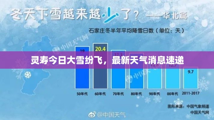 靈壽今日大雪紛飛，最新天氣消息速遞