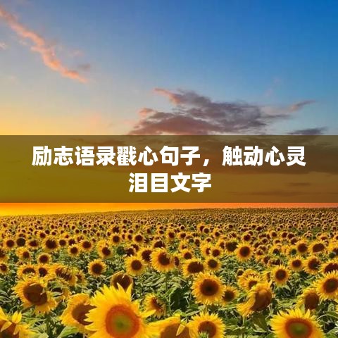 勵志語錄戳心句子，觸動心靈淚目文字