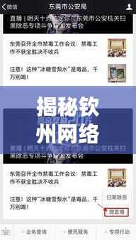揭秘欽州網(wǎng)絡(luò)賭博內(nèi)幕與打擊行動，黑暗面的新聞頭條