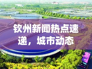 欽州新聞熱點速遞，城市動態(tài)與發(fā)展脈絡(luò)全面解讀
