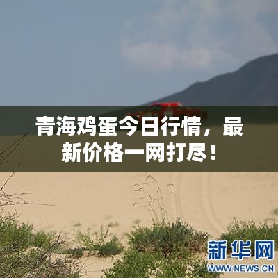青海雞蛋今日行情，最新價(jià)格一網(wǎng)打盡！