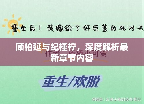 顧柏延與紀(jì)槿檸，深度解析最新章節(jié)內(nèi)容