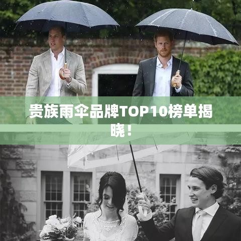 貴族雨傘品牌TOP10榜單揭曉！