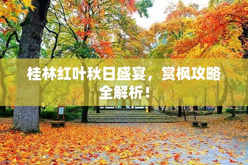 桂林紅葉秋日盛宴，賞楓攻略全解析！