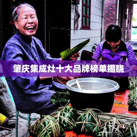 肇慶集成灶十大品牌榜單揭曉