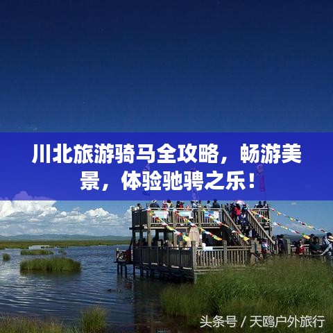 川北旅游騎馬全攻略，暢游美景，體驗馳騁之樂！