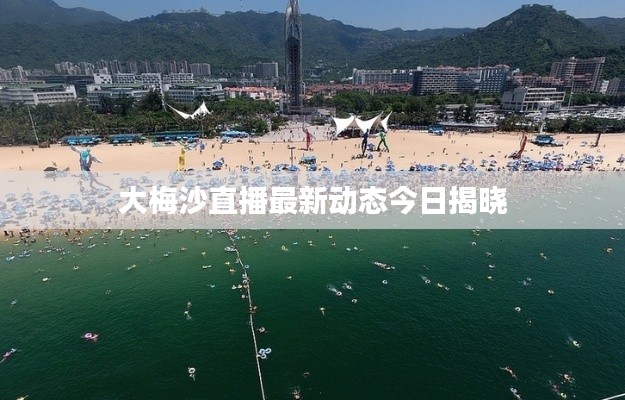 大梅沙直播最新動態(tài)今日揭曉