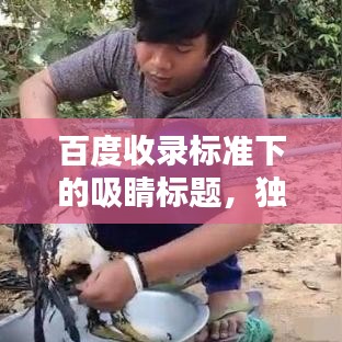百度收錄標(biāo)準(zhǔn)下的吸睛標(biāo)題，獨(dú)家秘制可樂雞，讓你一吃難忘！