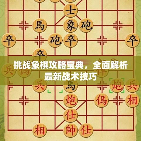 挑戰(zhàn)象棋攻略寶典，全面解析最新戰(zhàn)術(shù)技巧