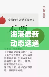 海港最新動(dòng)態(tài)速遞，今日頭條獨(dú)家揭秘