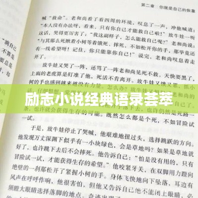 勵志小說經(jīng)典語錄薈萃
