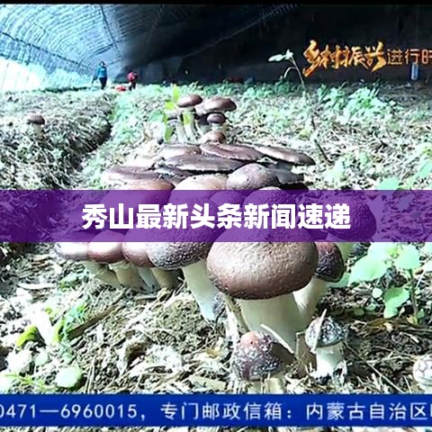 秀山最新頭條新聞速遞