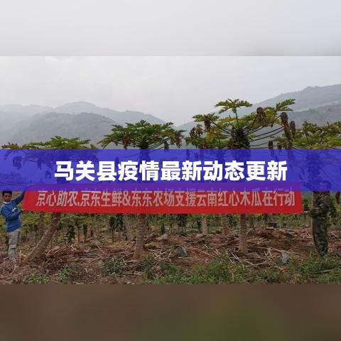 馬關(guān)縣疫情最新動(dòng)態(tài)更新