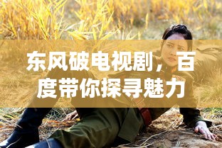 東風(fēng)破電視劇，百度帶你探尋魅力之源！