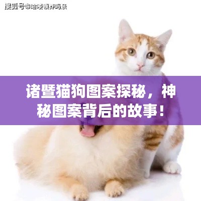 諸暨貓狗圖案探秘，神秘圖案背后的故事！