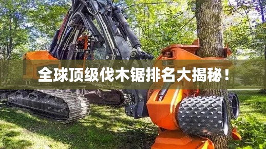 全球頂級(jí)伐木鋸排名大揭秘！