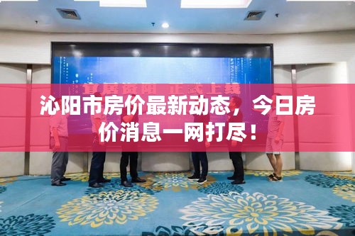 沁陽市房價最新動態(tài)，今日房價消息一網(wǎng)打盡！