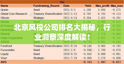 北京風(fēng)投公司排名大揭秘，行業(yè)洞察深度解讀！