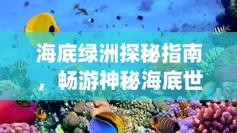 海底綠洲探秘指南，暢游神秘海底世界！