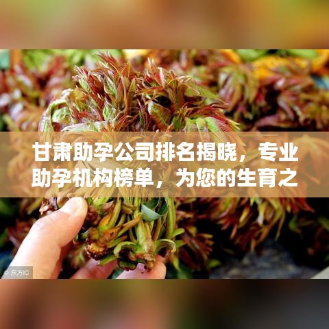 甘肅助孕公司排名揭曉，專業(yè)助孕機構榜單，為您的生育之路保駕護航！