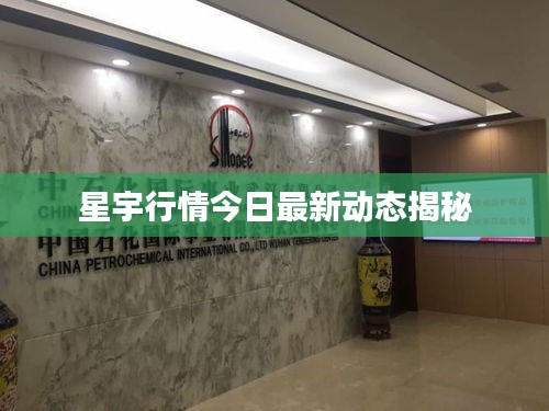 星宇行情今日最新動態(tài)揭秘