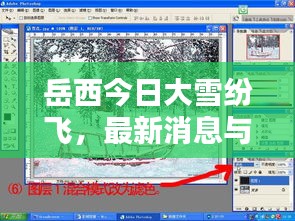 岳西今日大雪紛飛，最新消息與實時動態(tài)播報