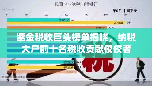 紫金稅收巨頭榜單揭曉，納稅大戶前十名稅收貢獻(xiàn)佼佼者