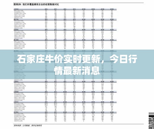 石家莊牛價實時更新，今日行情最新消息